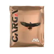 Carga Bearglass 40x40 300 GSM Mikrofiber Oto Cam Bezi 1