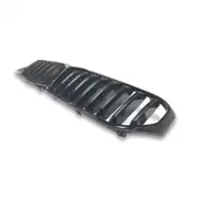BMW 5 Serisi G30 LCI Shadow Line Panjur (2020+) - 51129852168 1