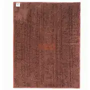 Carga Beardry 40x60 440 GSM Mikrofiber Oto Kurulama Bezi 3