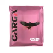 Carga Pantherglass 40x40 300 GSM Mikrofiber Oto Cam Bezi 1